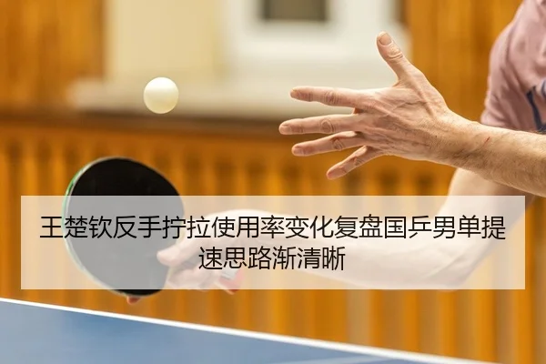 王楚钦反手拧拉使用率变化复盘国乒男单提速思路渐清晰